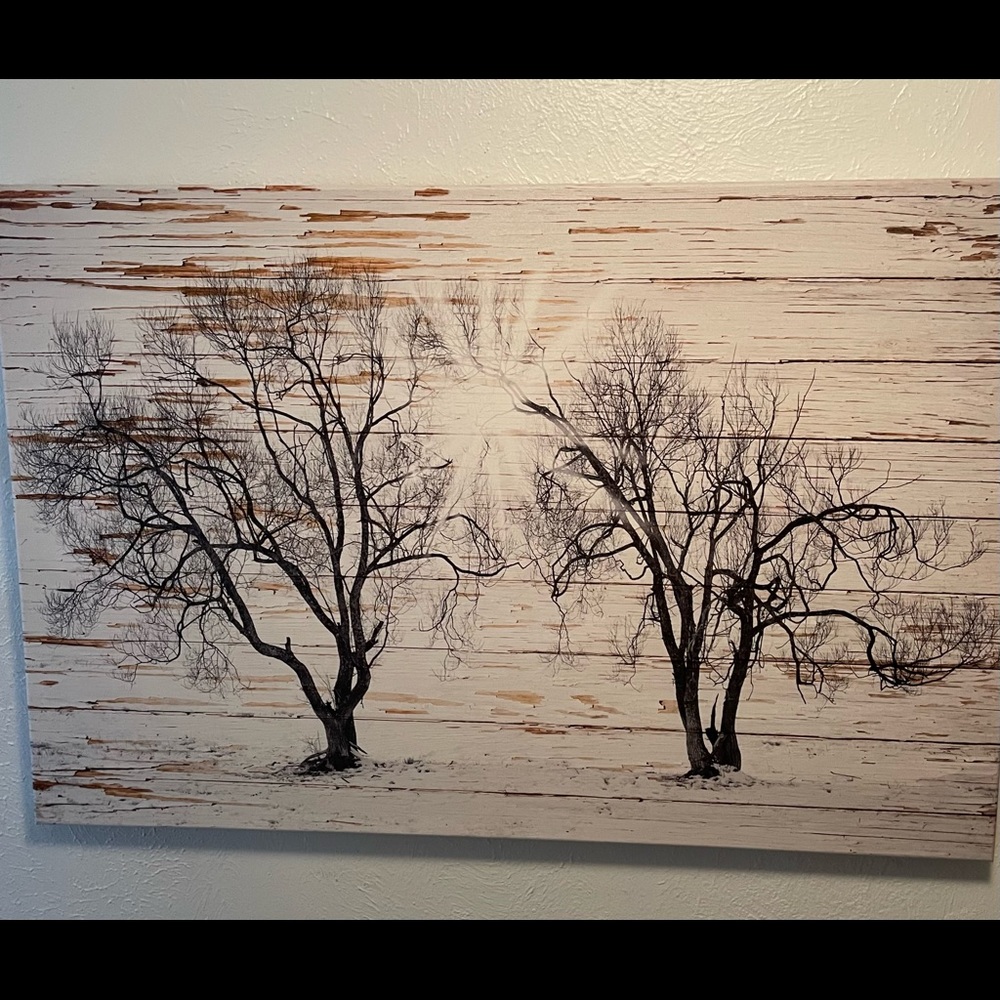 Sunburst Landscape Canvas